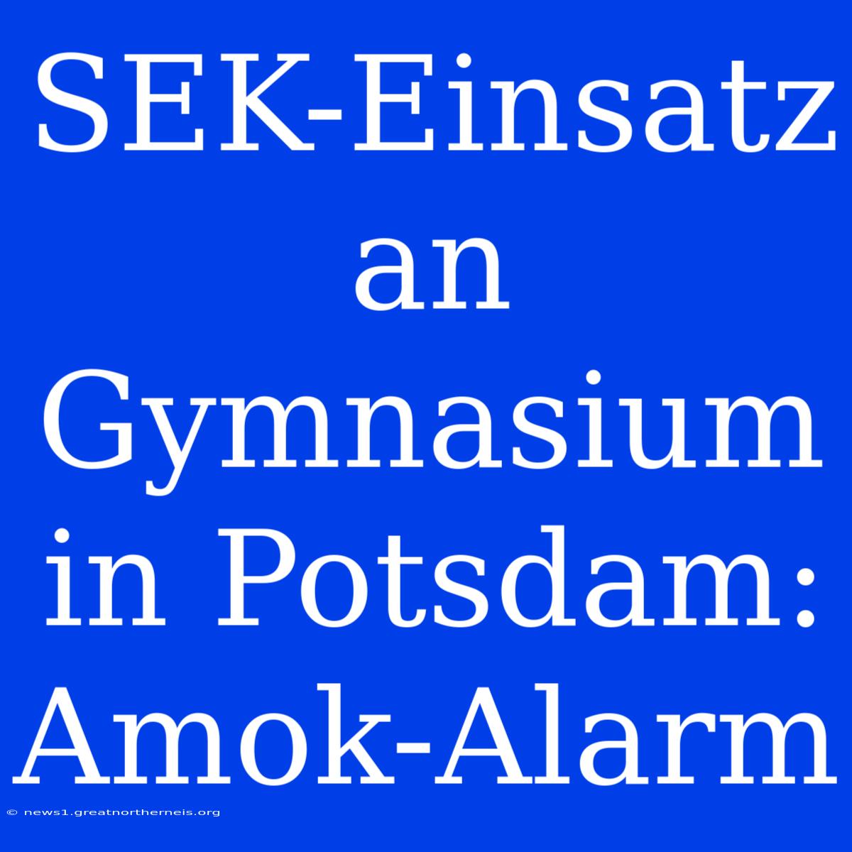 SEK-Einsatz An Gymnasium In Potsdam: Amok-Alarm