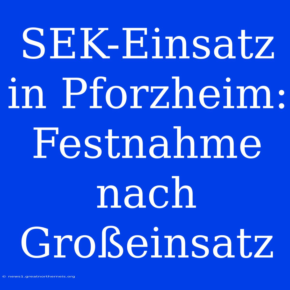 SEK-Einsatz In Pforzheim: Festnahme Nach Großeinsatz