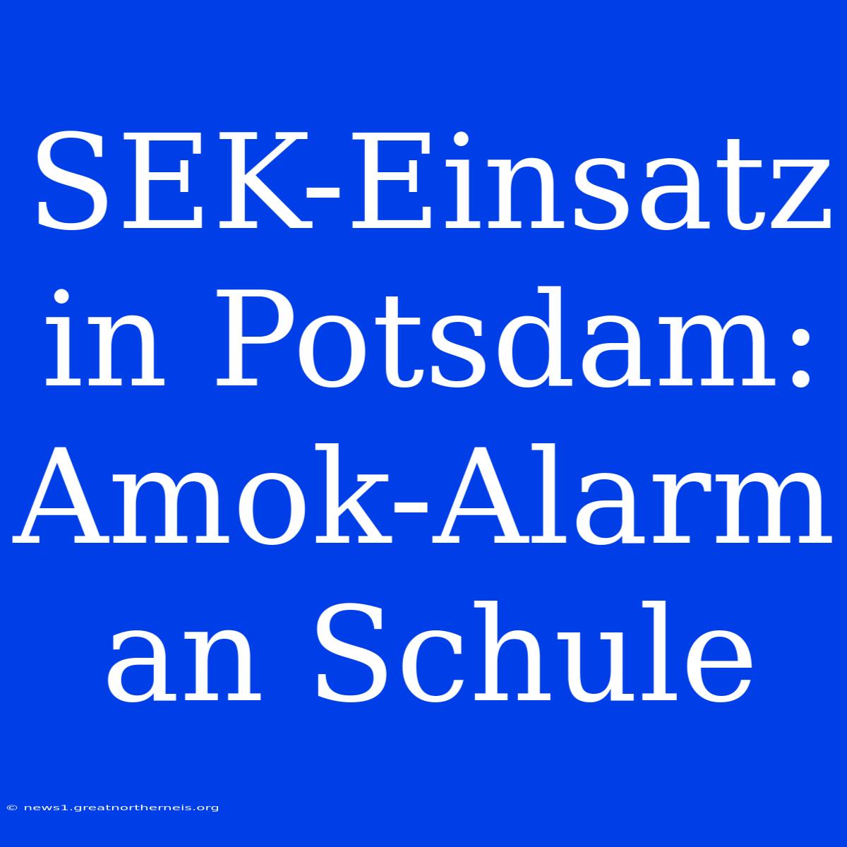 SEK-Einsatz In Potsdam: Amok-Alarm An Schule