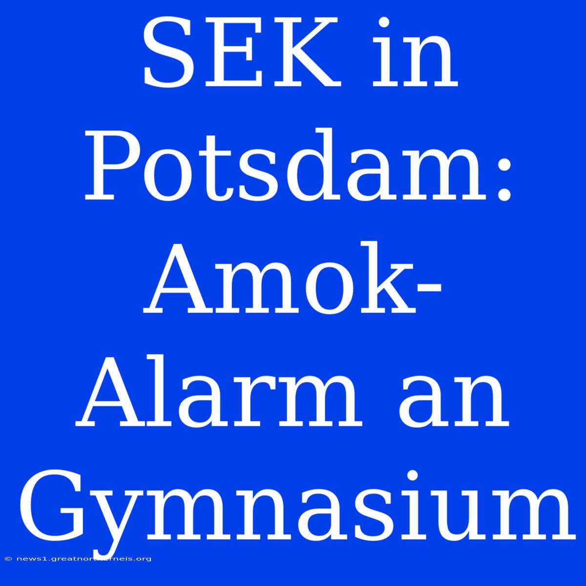 SEK In Potsdam: Amok-Alarm An Gymnasium