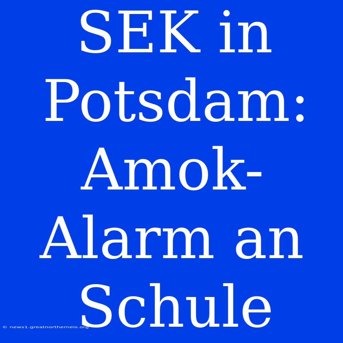 SEK In Potsdam: Amok-Alarm An Schule