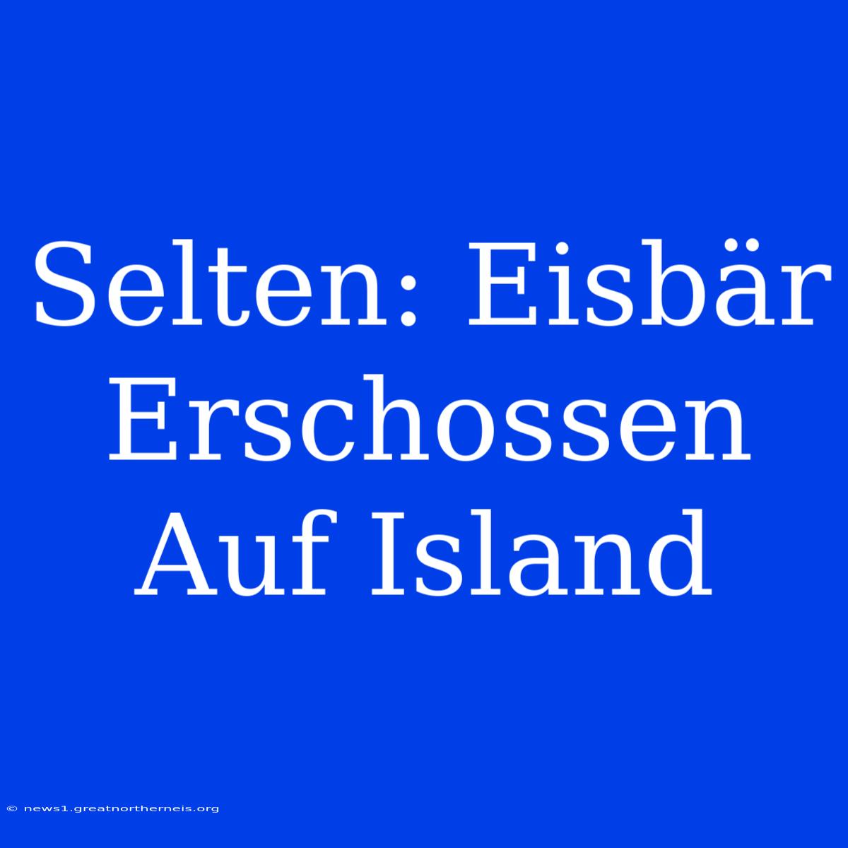 Selten: Eisbär Erschossen Auf Island