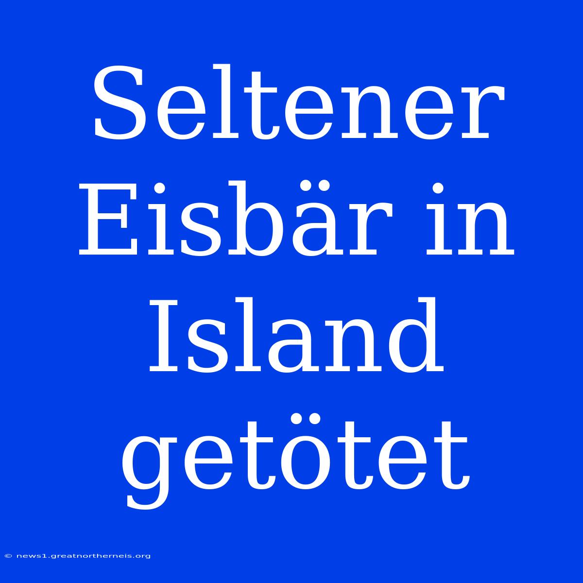 Seltener Eisbär In Island Getötet