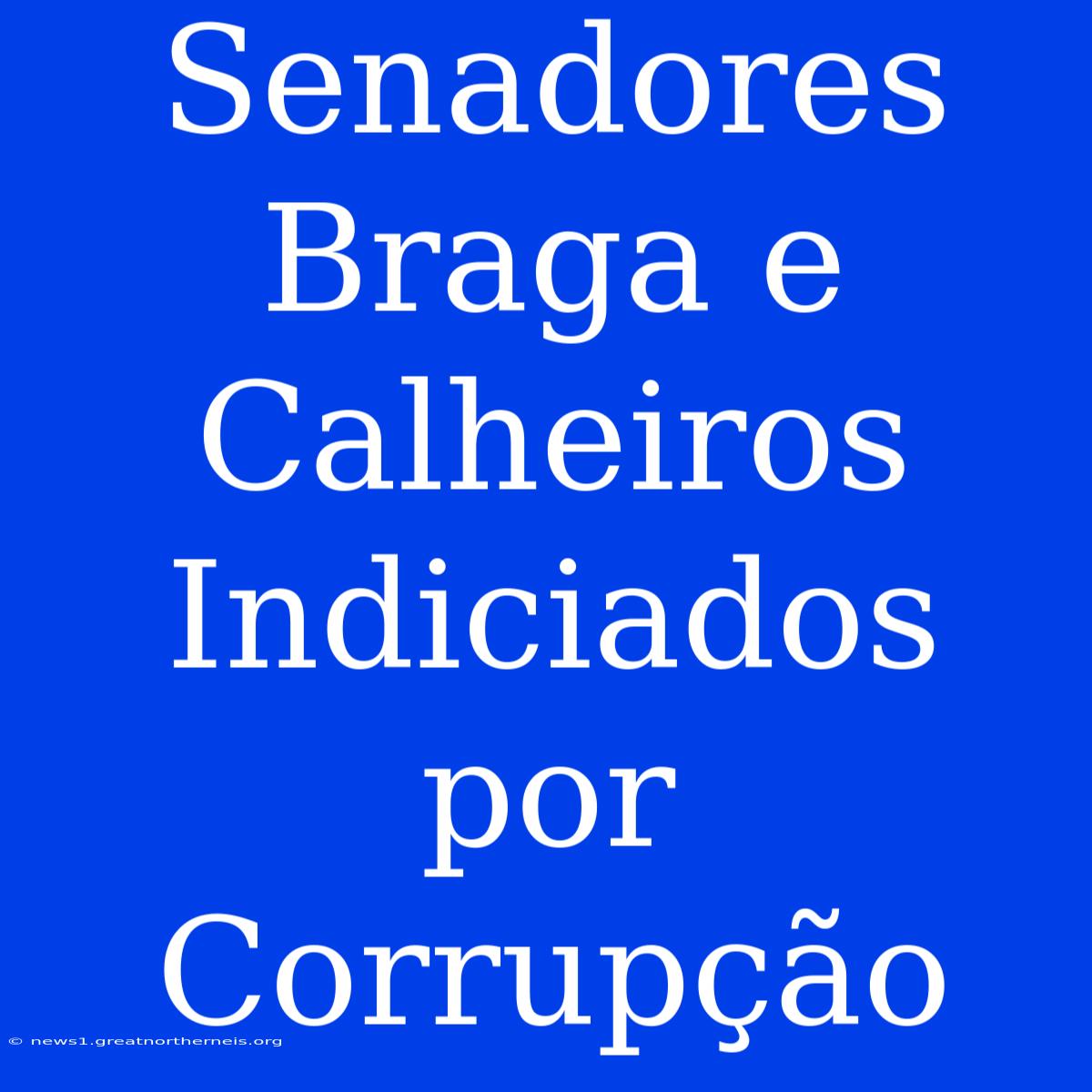 Senadores Braga E Calheiros Indiciados Por Corrupção