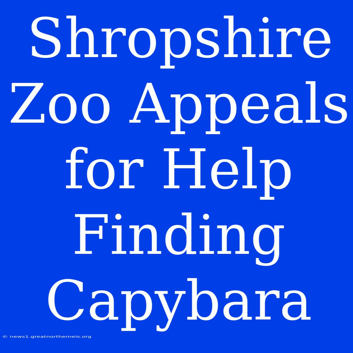 Shropshire Zoo Appeals For Help Finding Capybara