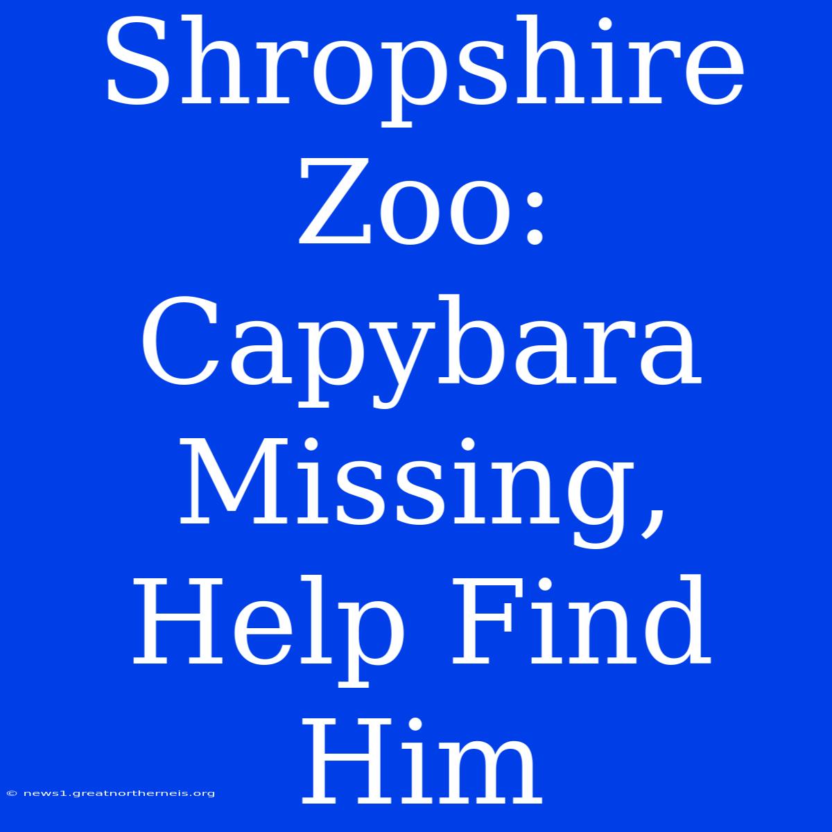 Shropshire Zoo: Capybara Missing, Help Find Him