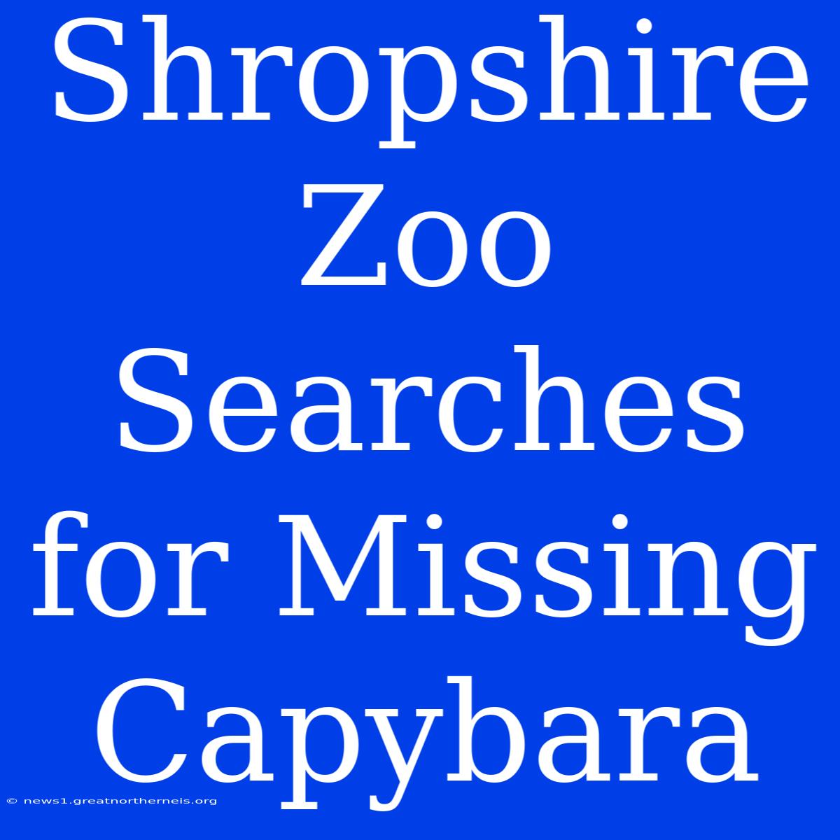 Shropshire Zoo Searches For Missing Capybara