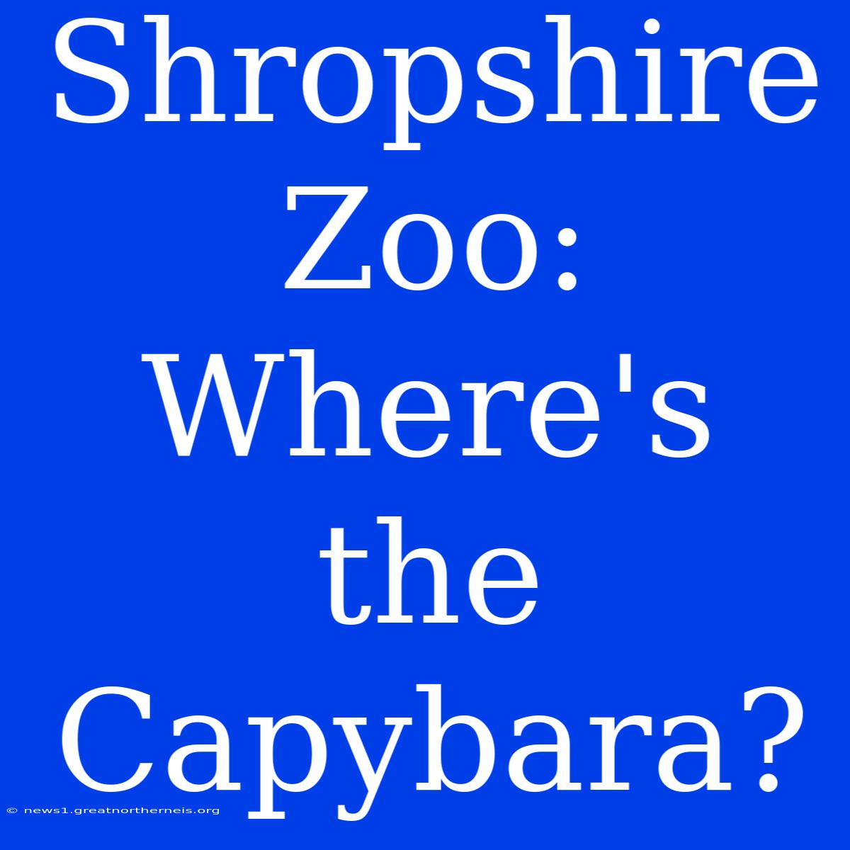 Shropshire Zoo: Where's The Capybara?