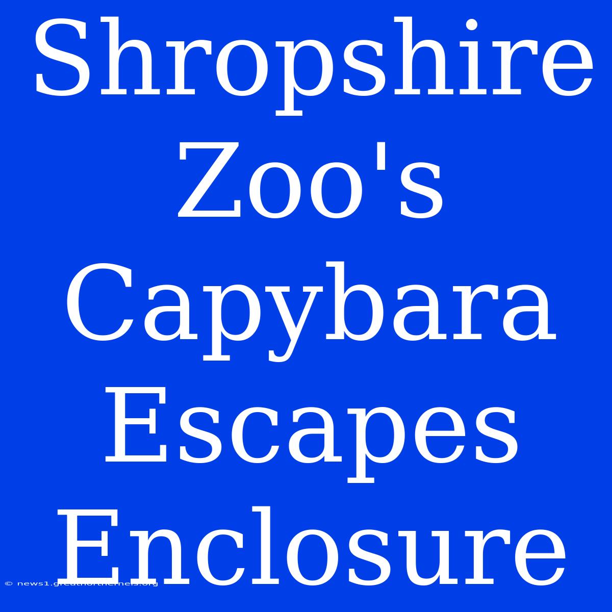 Shropshire Zoo's Capybara Escapes Enclosure