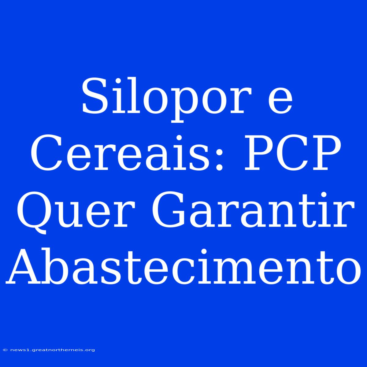 Silopor E Cereais: PCP Quer Garantir Abastecimento