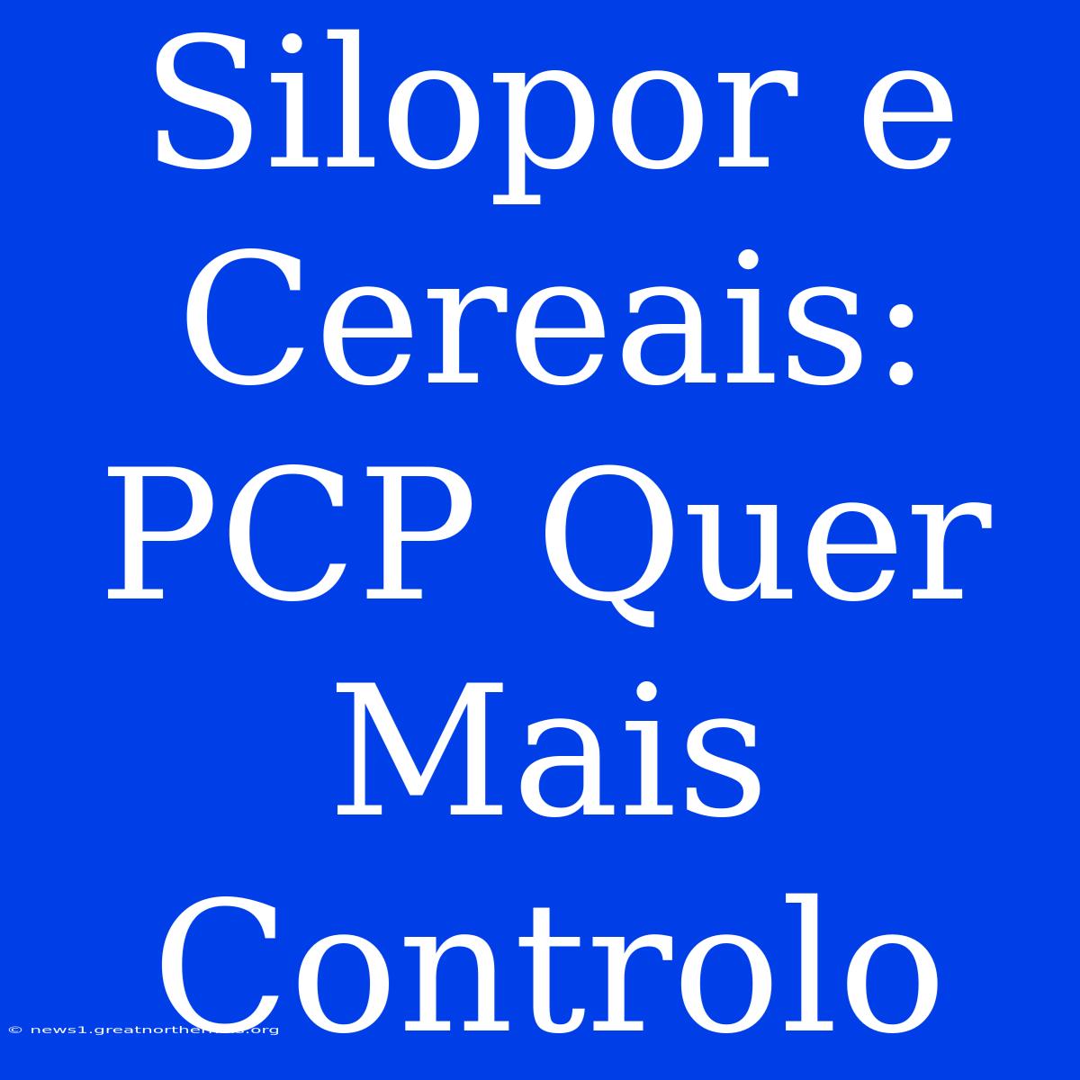 Silopor E Cereais: PCP Quer Mais Controlo