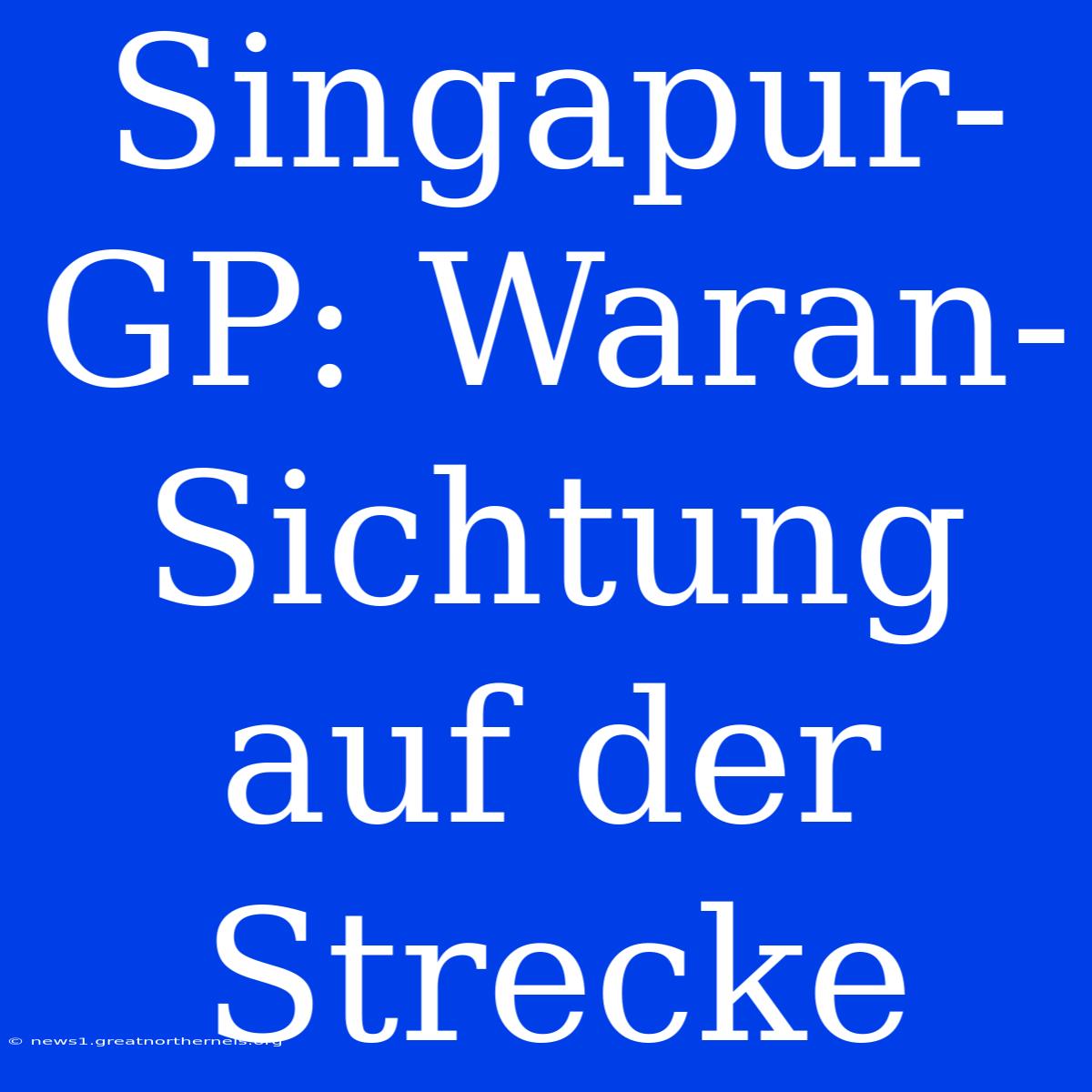 Singapur-GP: Waran-Sichtung Auf Der Strecke