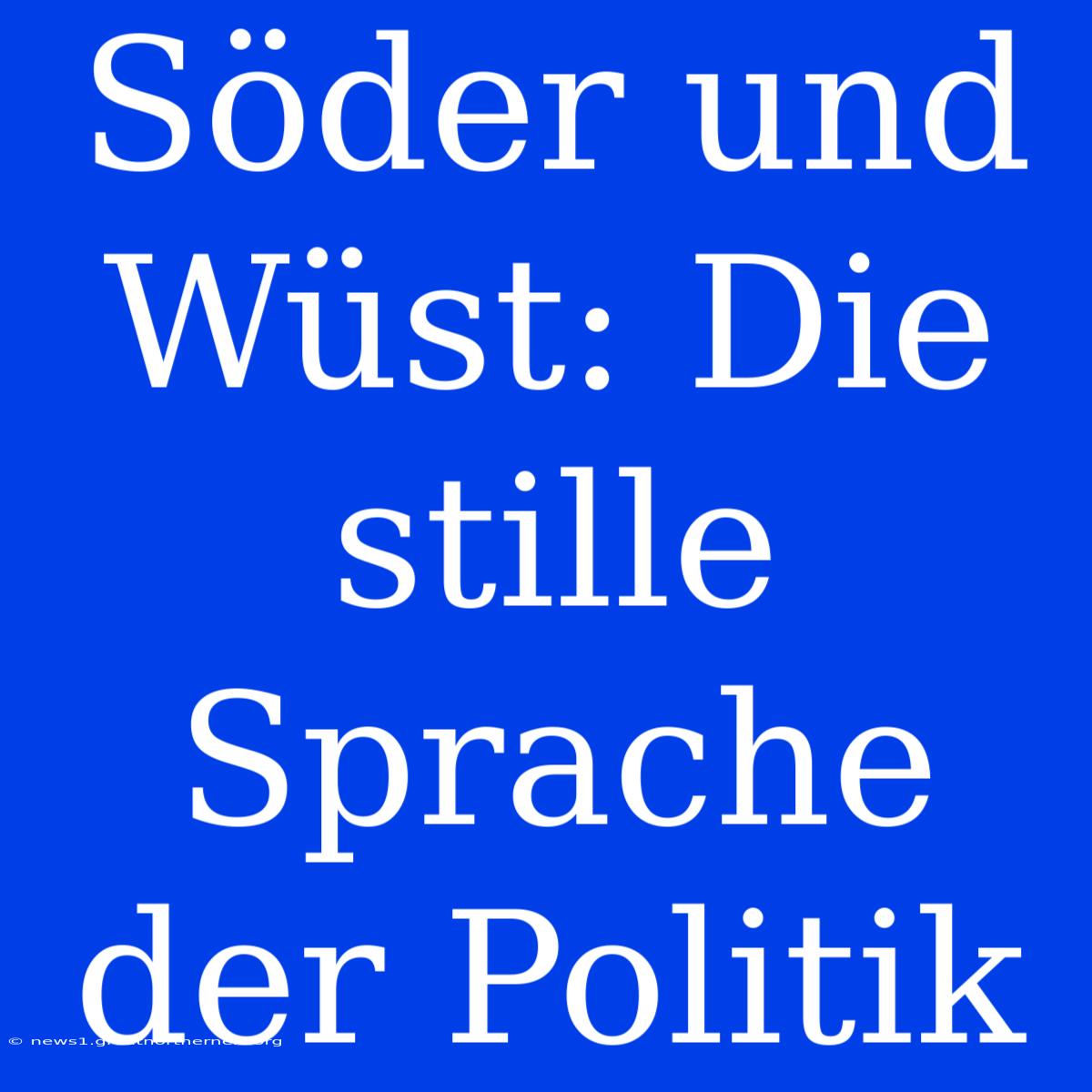 Söder Und Wüst: Die Stille Sprache Der Politik