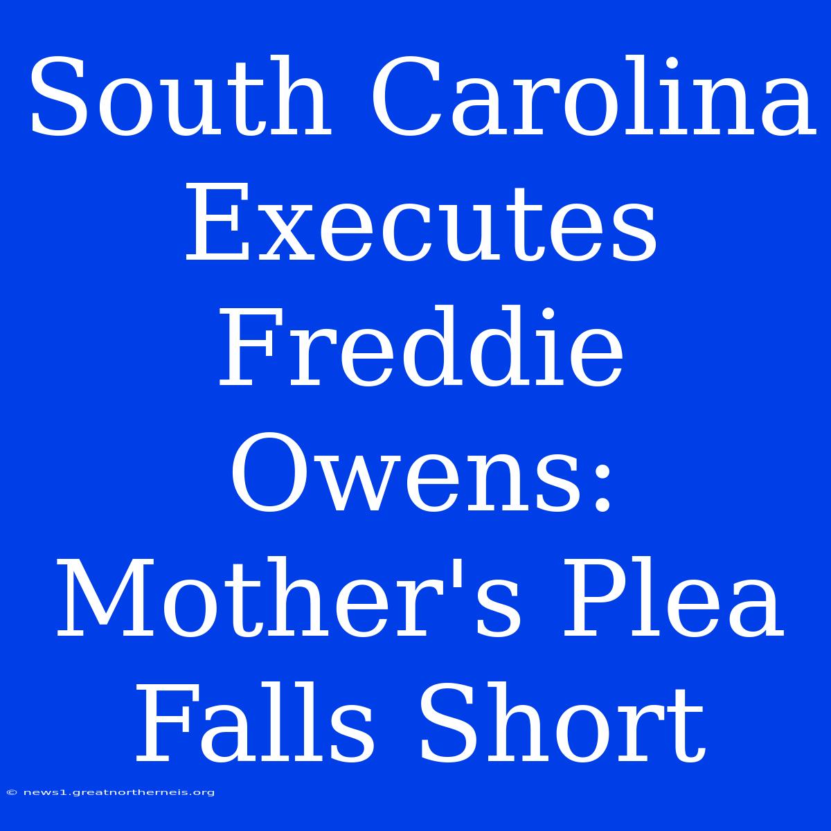 South Carolina Executes Freddie Owens: Mother's Plea Falls Short