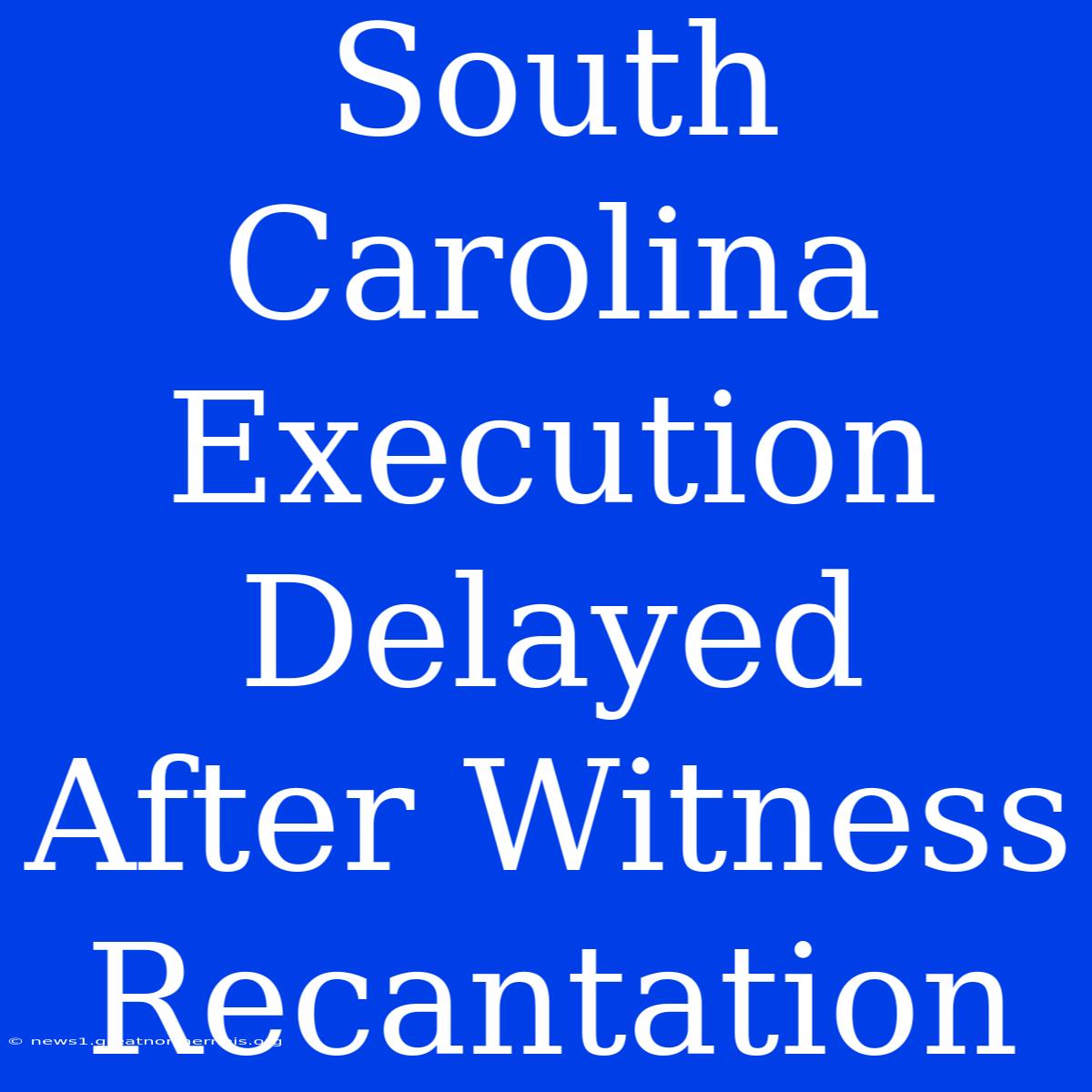 South Carolina Execution Delayed After Witness Recantation