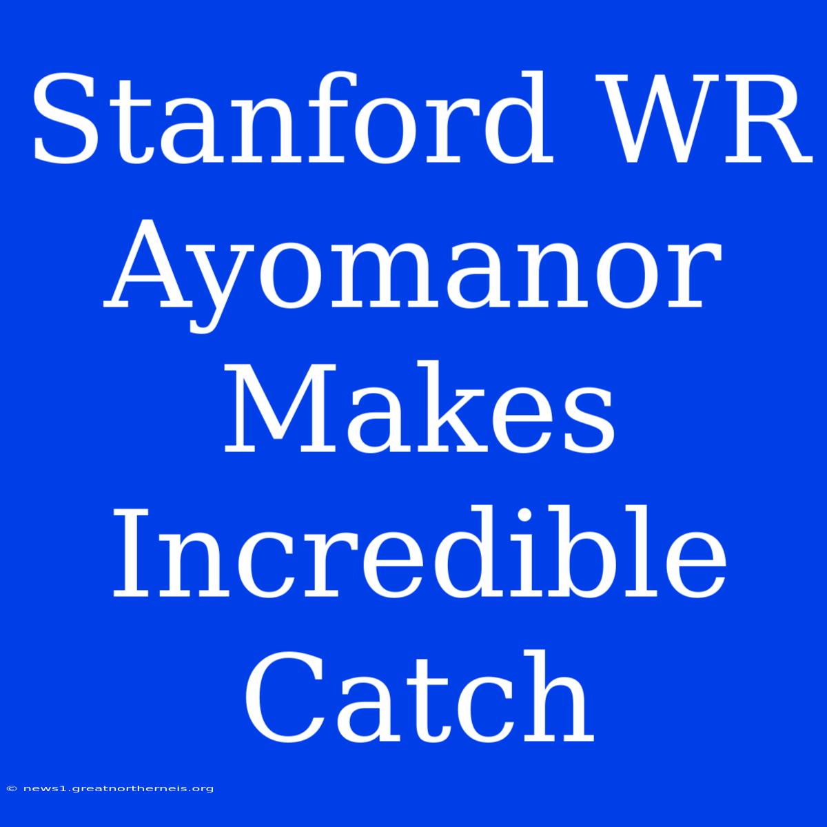 Stanford WR Ayomanor Makes Incredible Catch