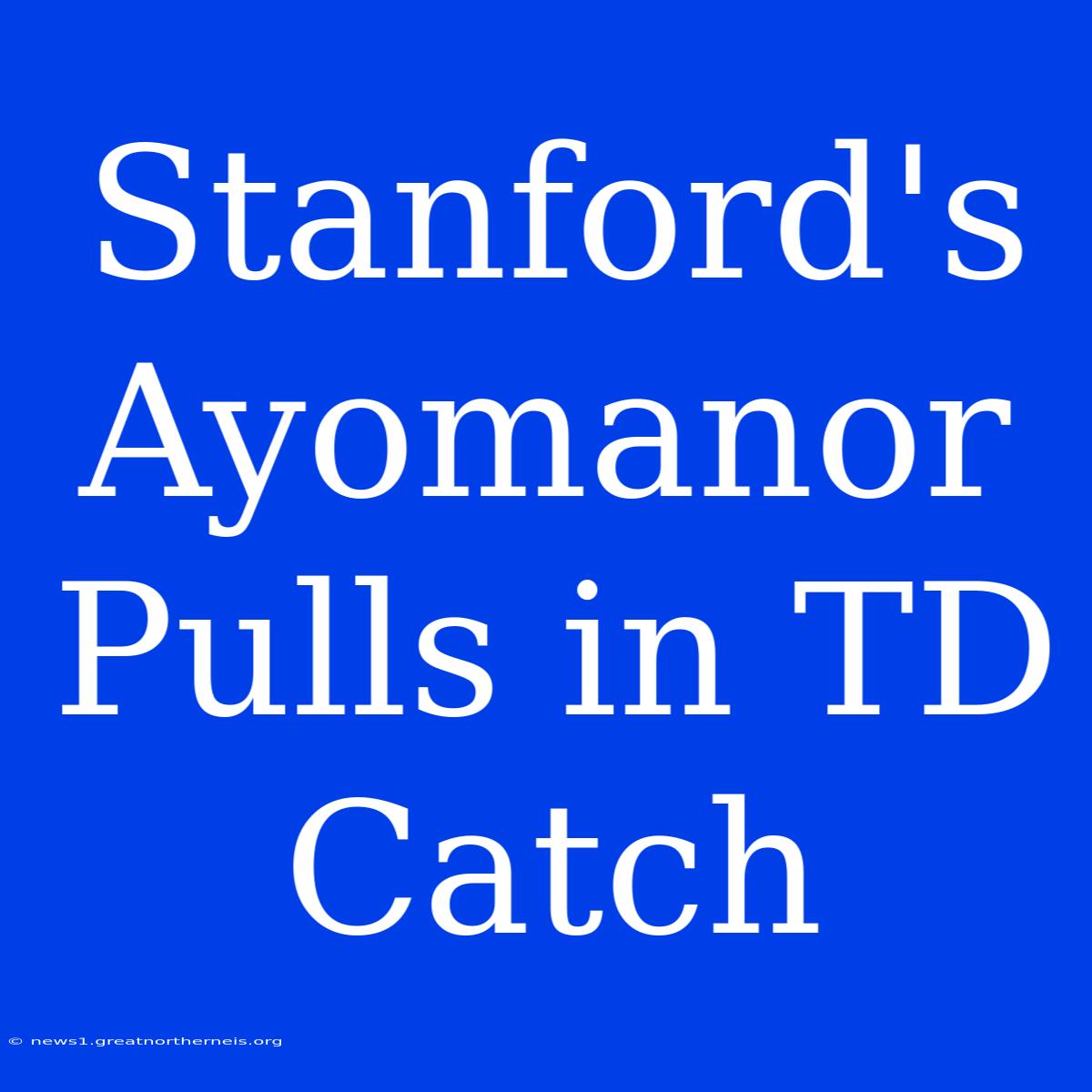 Stanford's Ayomanor Pulls In TD Catch