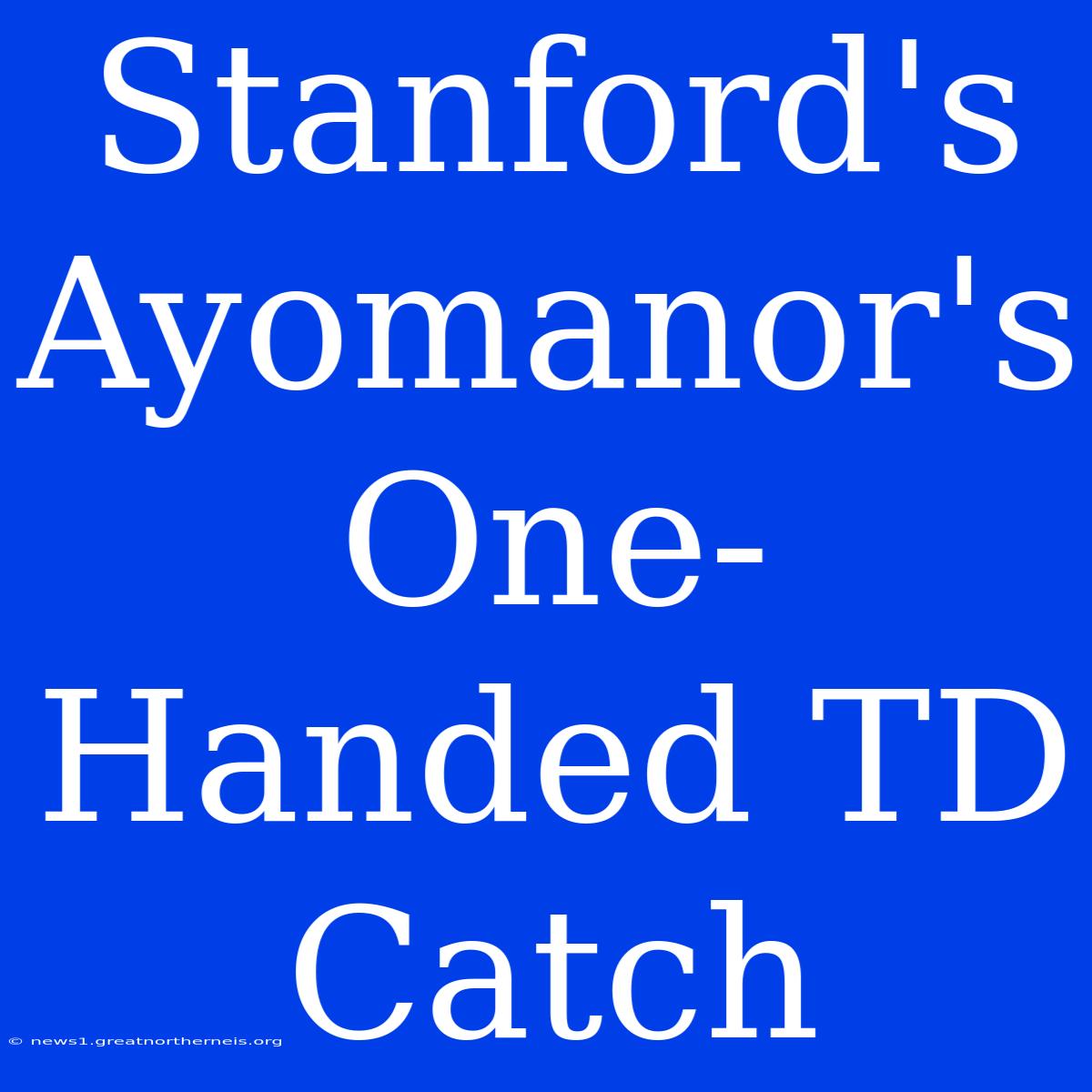 Stanford's Ayomanor's One-Handed TD Catch