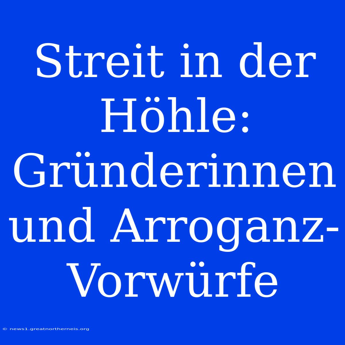 Streit In Der Höhle: Gründerinnen Und Arroganz-Vorwürfe