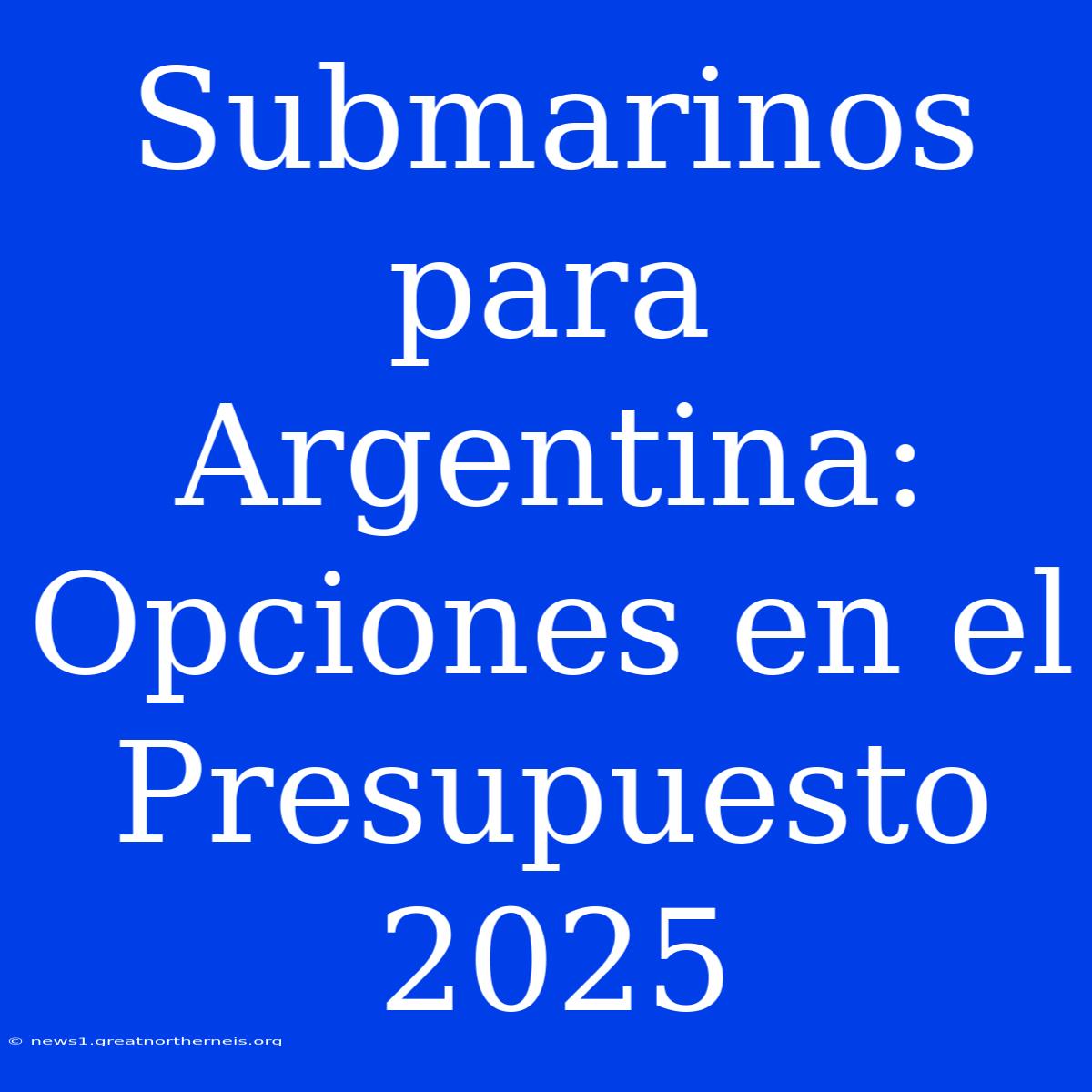 Submarinos Para Argentina: Opciones En El Presupuesto 2025