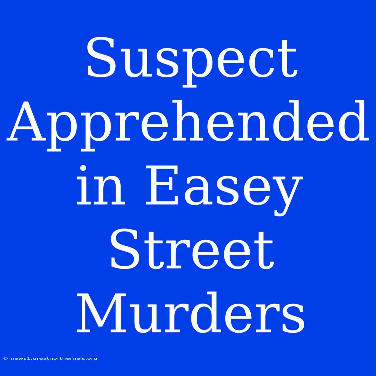 Suspect Apprehended In Easey Street Murders