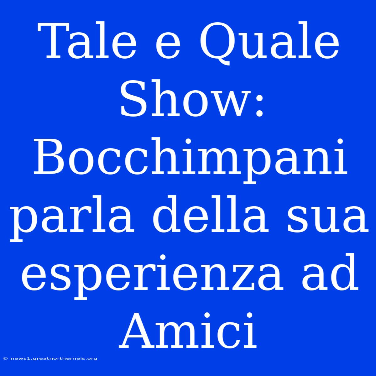 Tale E Quale Show: Bocchimpani Parla Della Sua Esperienza Ad Amici