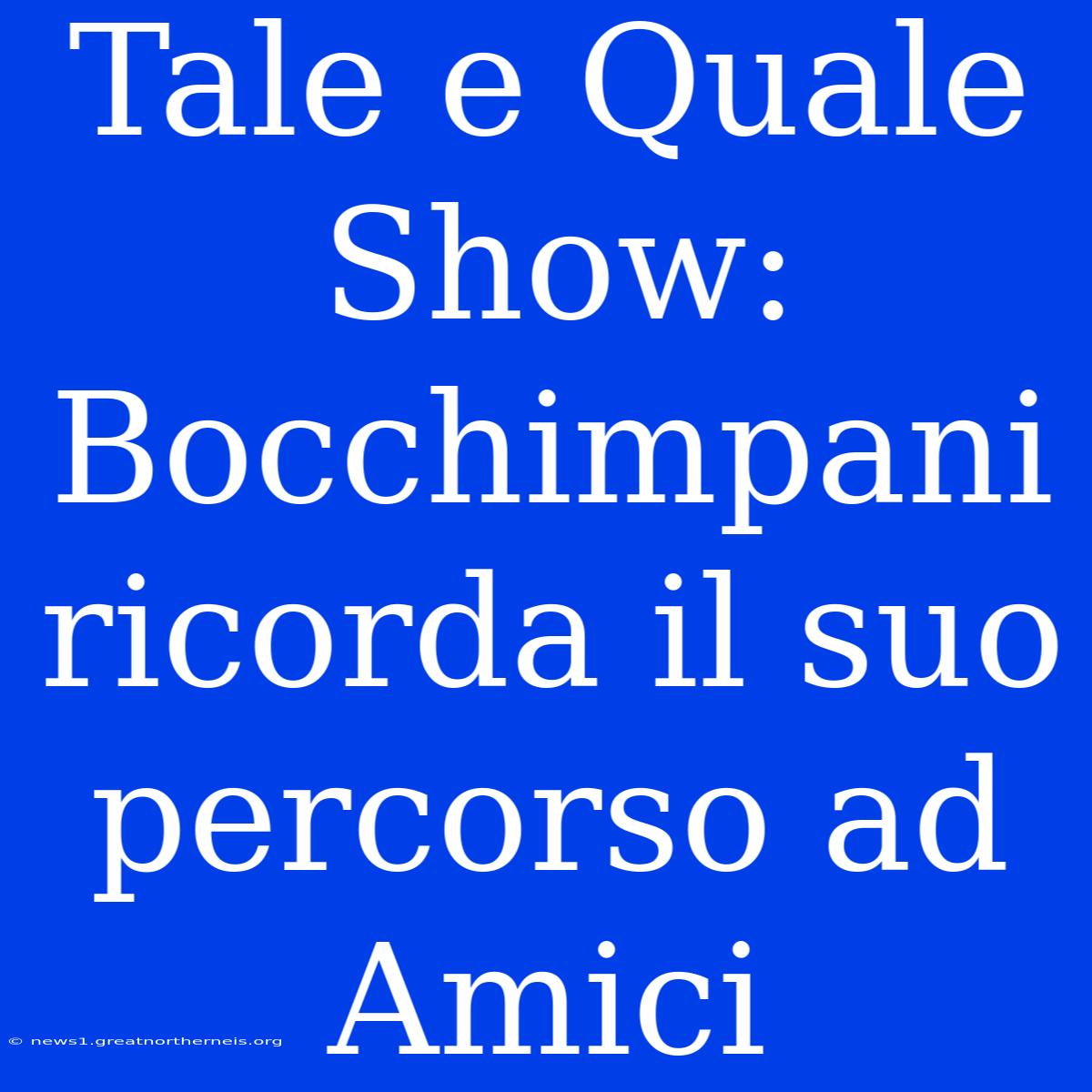 Tale E Quale Show: Bocchimpani Ricorda Il Suo Percorso Ad Amici