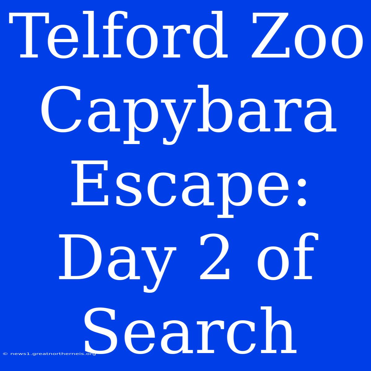 Telford Zoo Capybara Escape: Day 2 Of Search