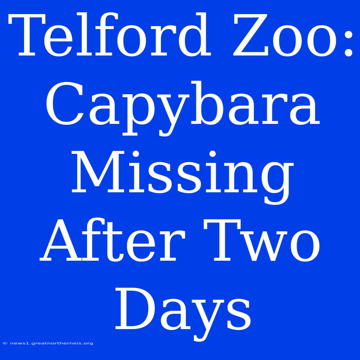 Telford Zoo: Capybara Missing After Two Days