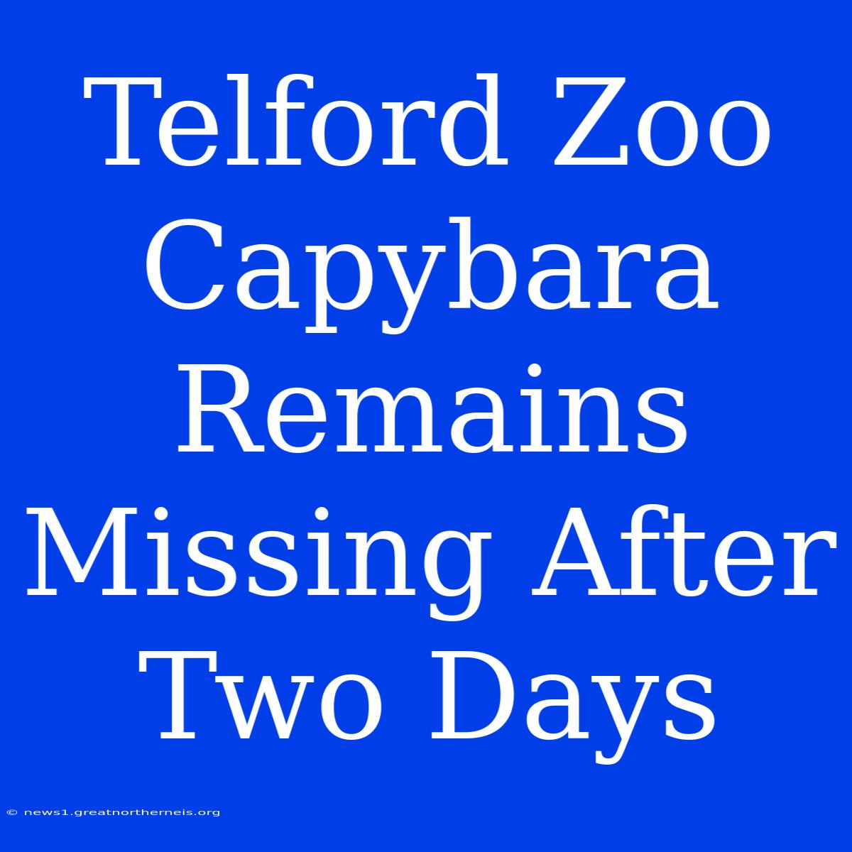 Telford Zoo Capybara Remains Missing After Two Days