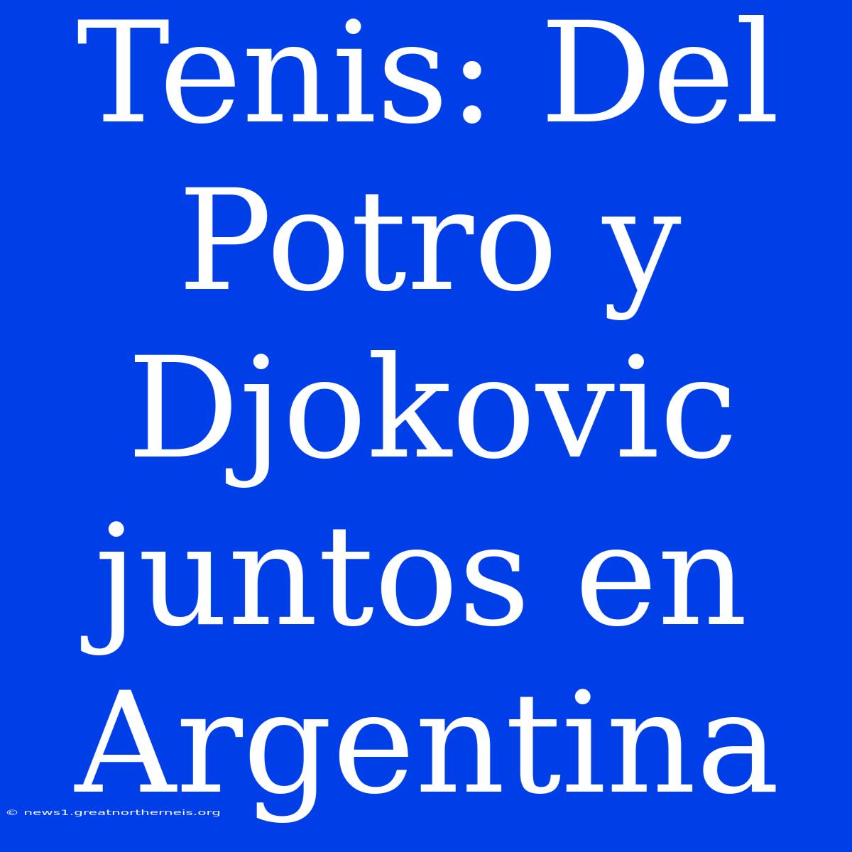 Tenis: Del Potro Y Djokovic Juntos En Argentina