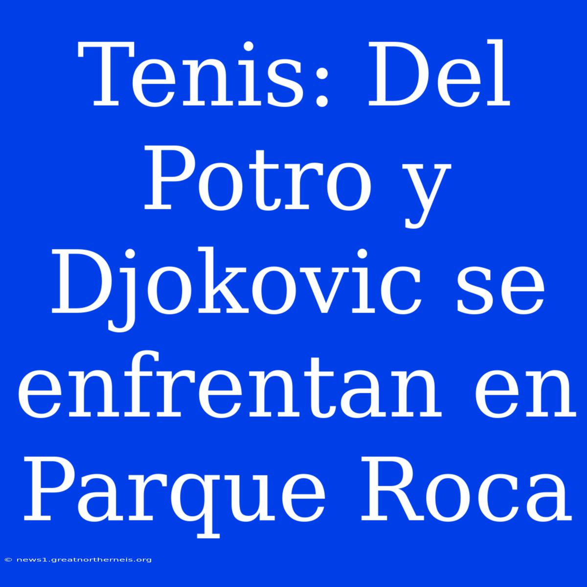 Tenis: Del Potro Y Djokovic Se Enfrentan En Parque Roca