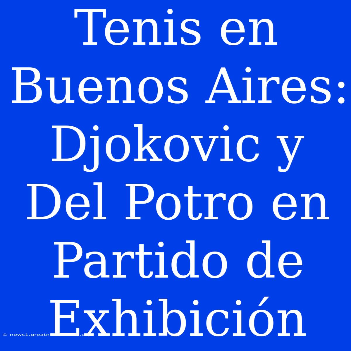 Tenis En Buenos Aires: Djokovic Y Del Potro En Partido De Exhibición