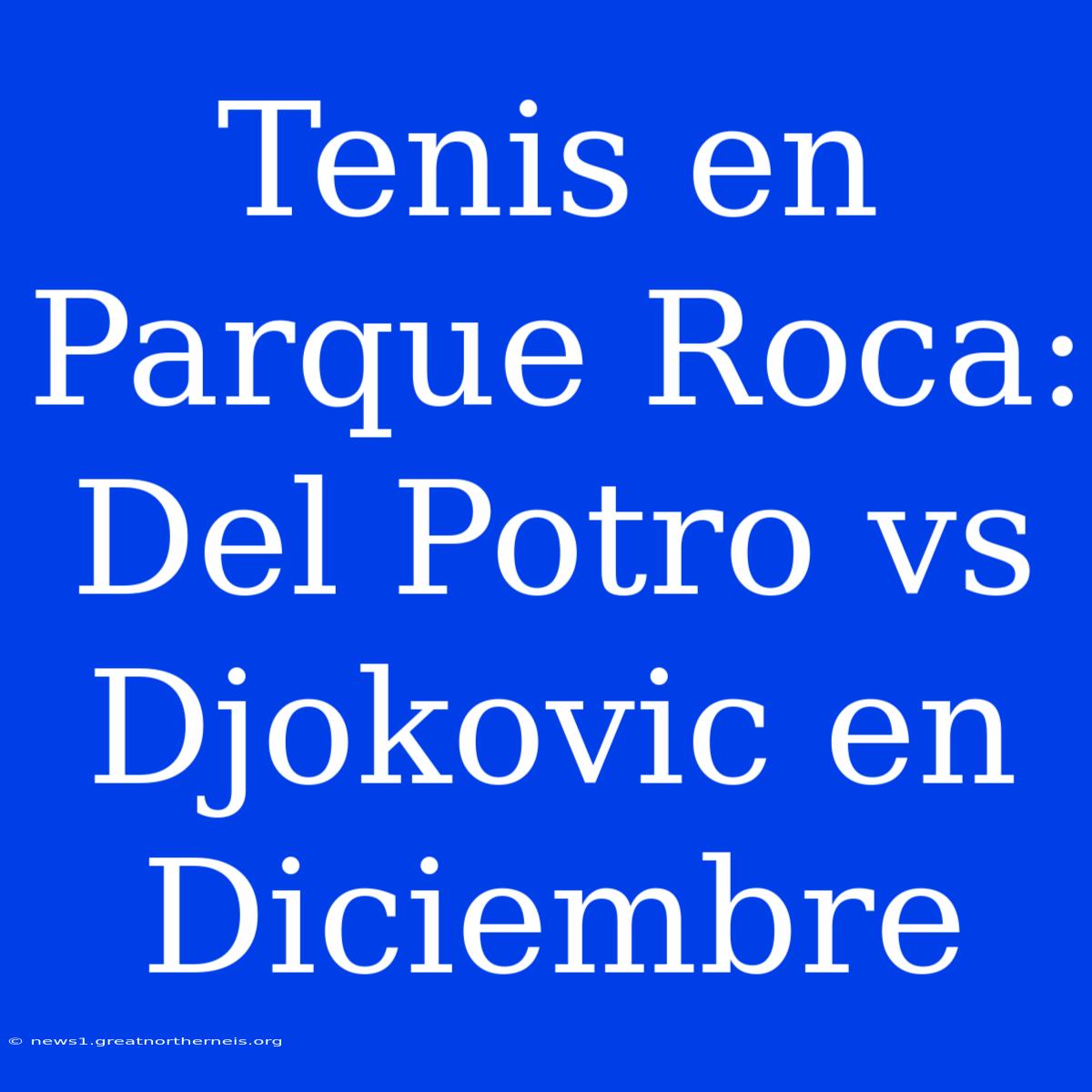 Tenis En Parque Roca: Del Potro Vs Djokovic En Diciembre