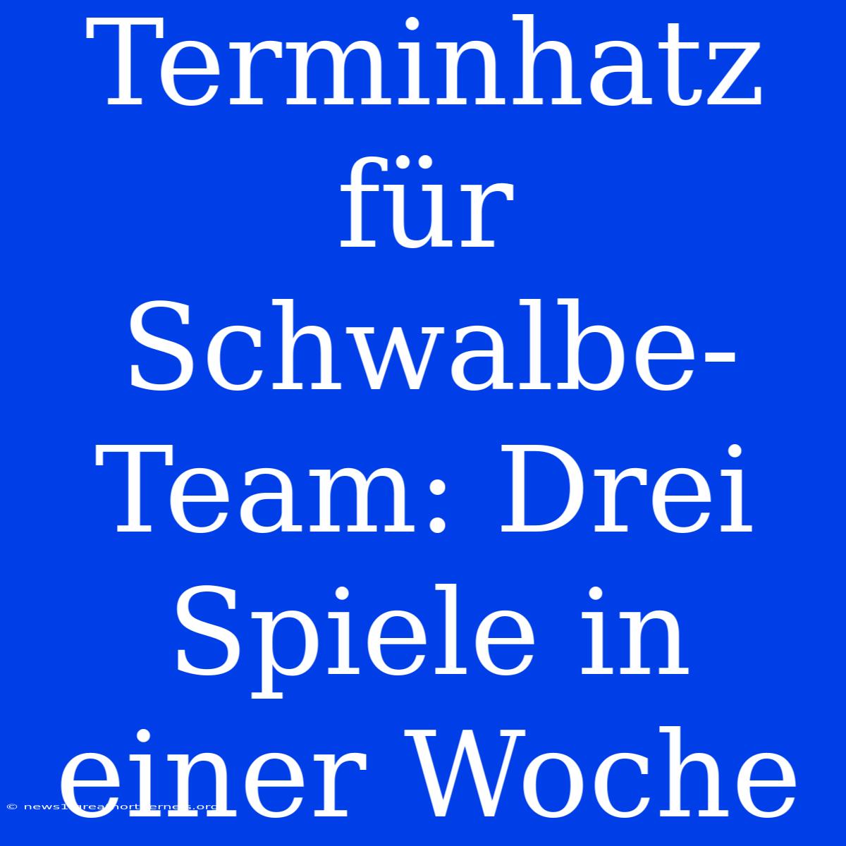 Terminhatz Für Schwalbe-Team: Drei Spiele In Einer Woche