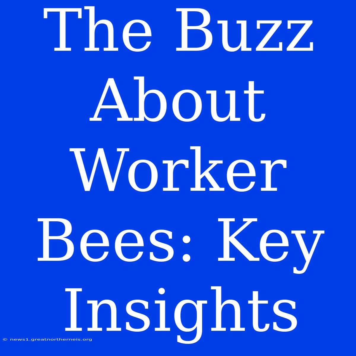 The Buzz About Worker Bees: Key Insights