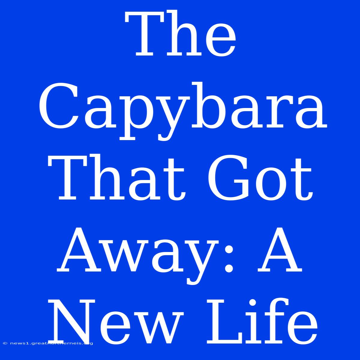 The Capybara That Got Away: A New Life