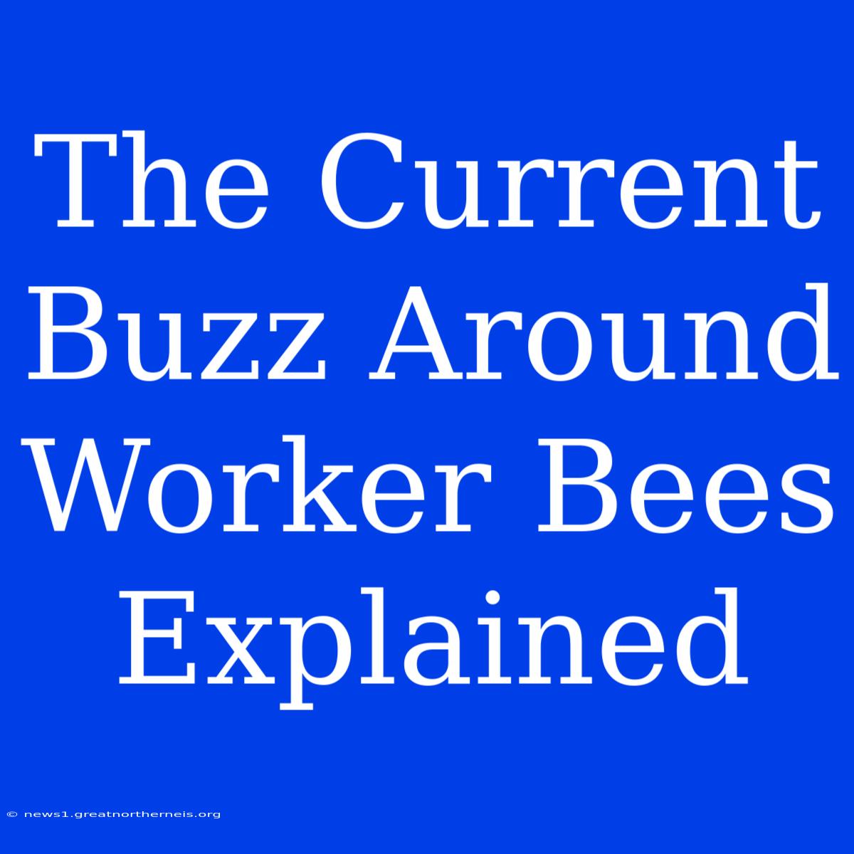 The Current Buzz Around Worker Bees Explained