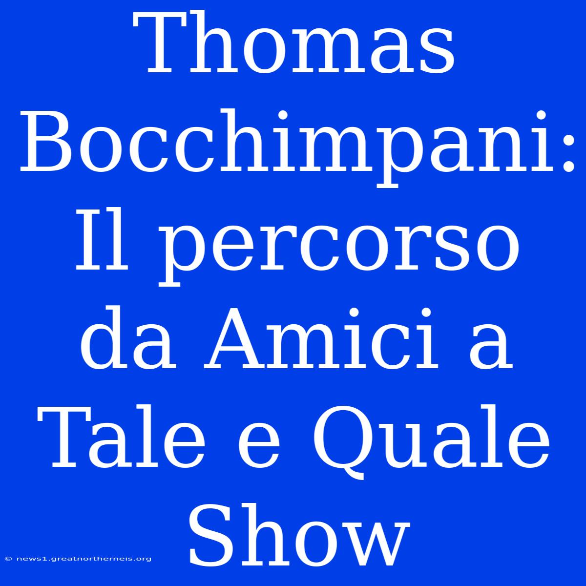 Thomas Bocchimpani: Il Percorso Da Amici A Tale E Quale Show