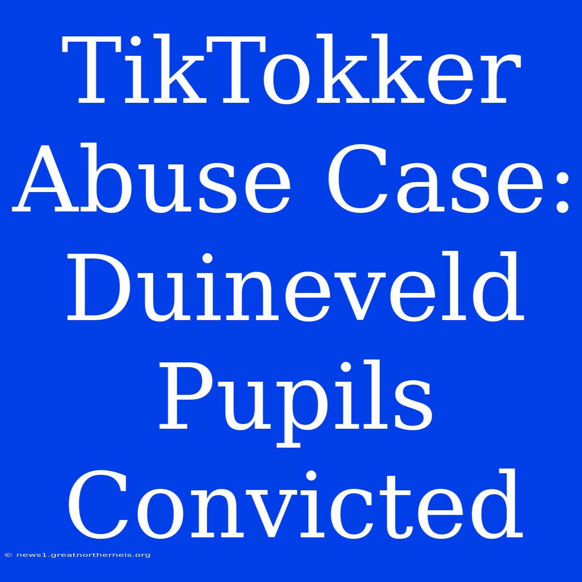 TikTokker Abuse Case: Duineveld Pupils Convicted