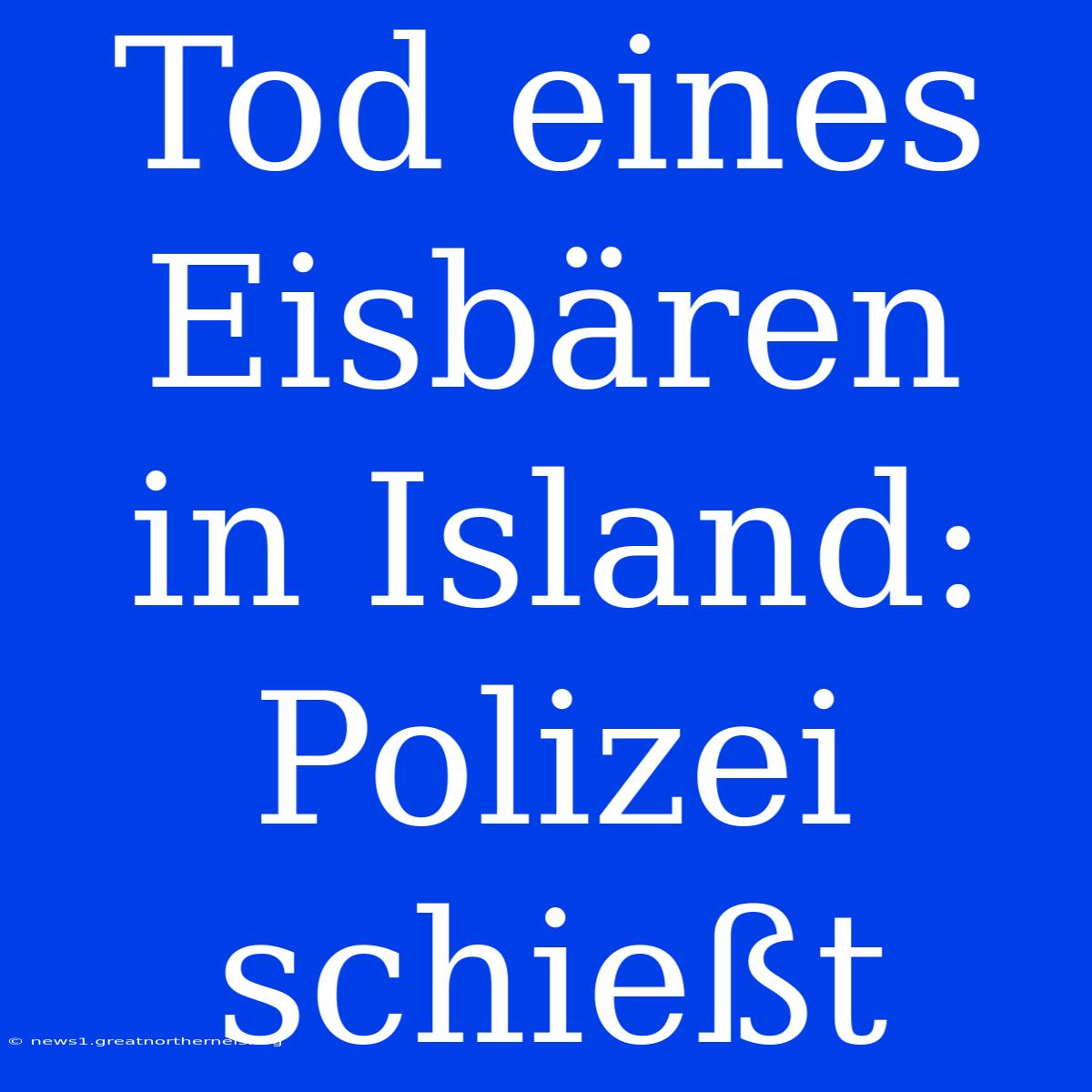 Tod Eines Eisbären In Island: Polizei Schießt