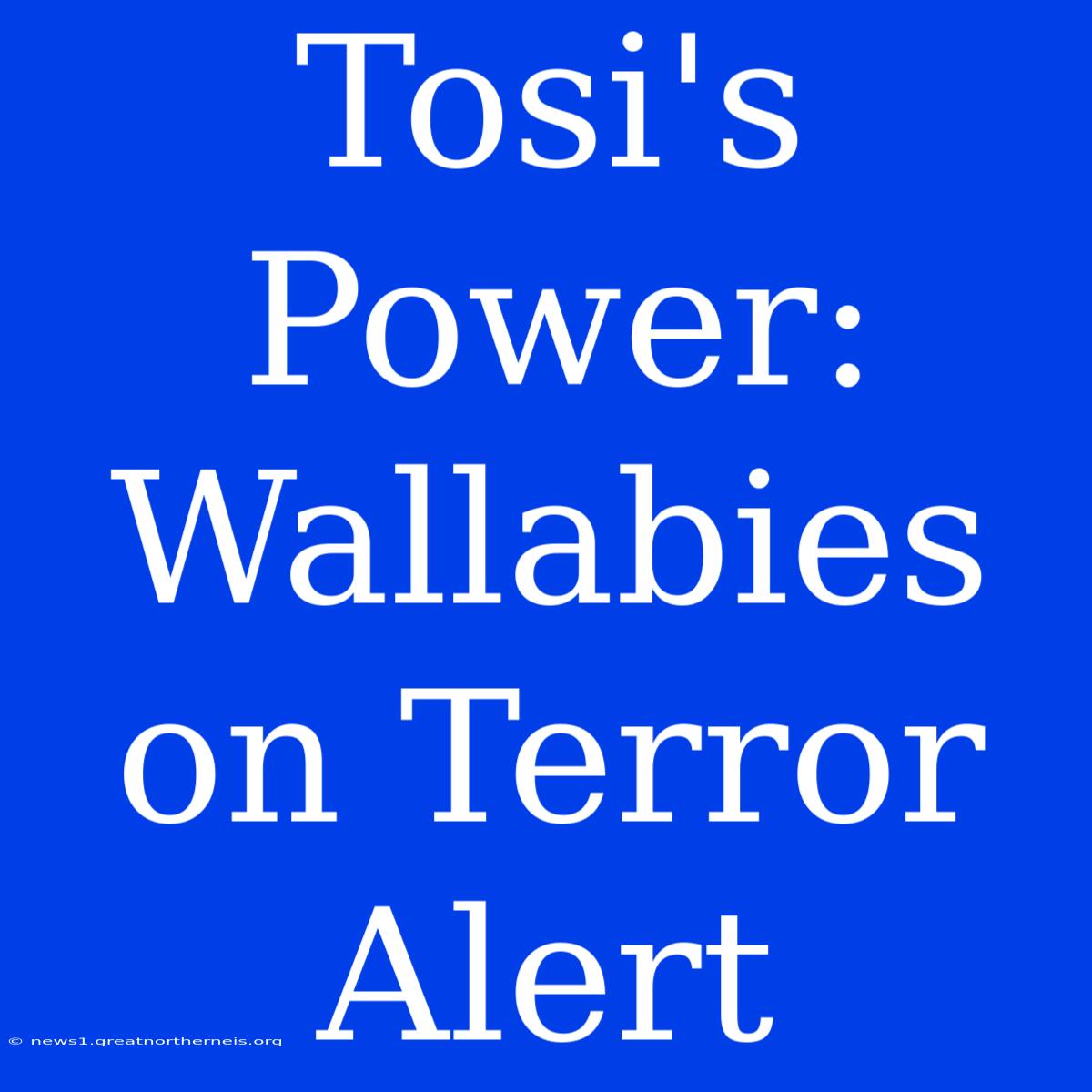 Tosi's Power: Wallabies On Terror Alert