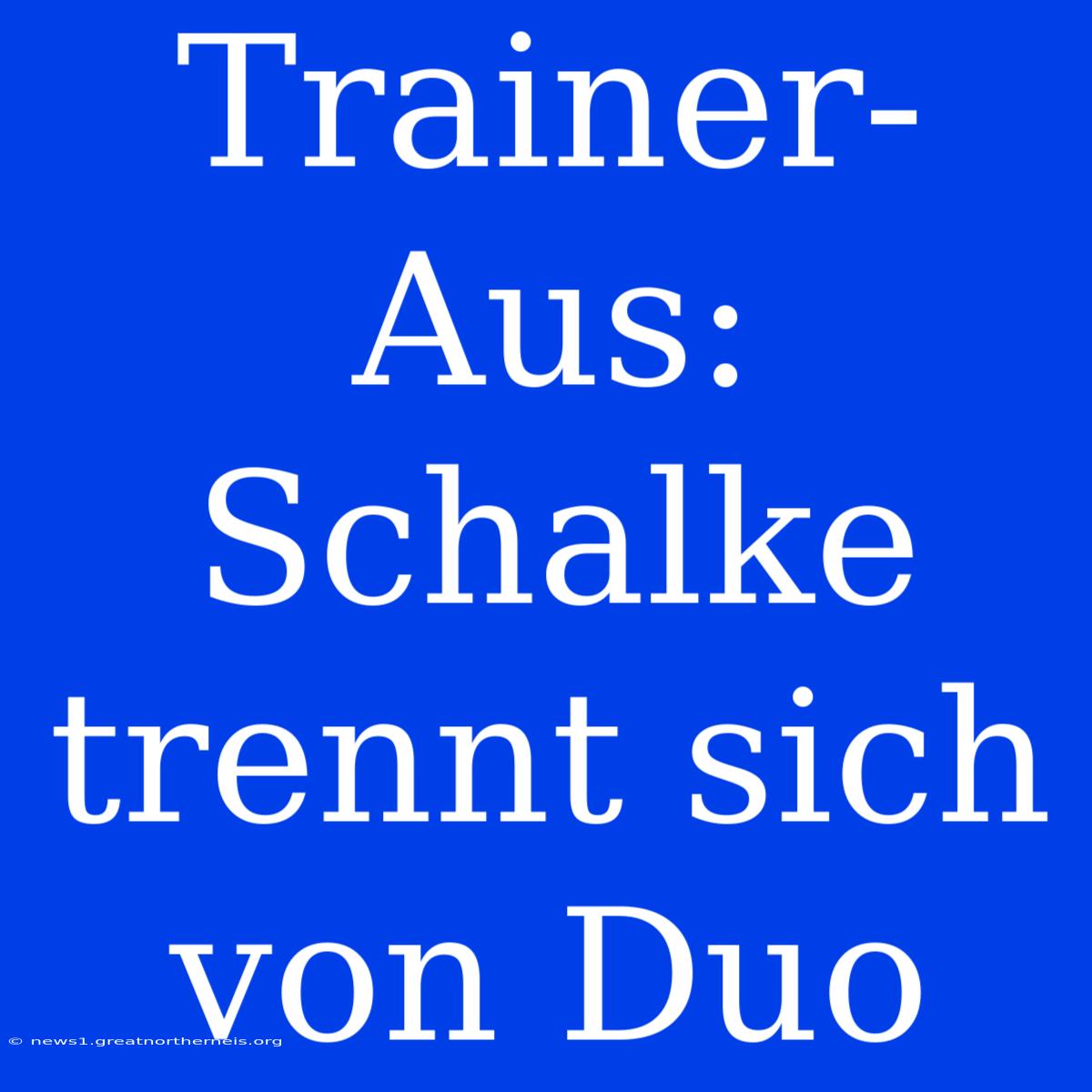 Trainer-Aus: Schalke Trennt Sich Von Duo