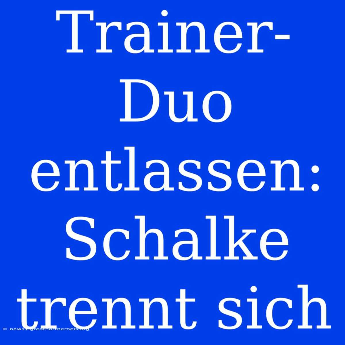 Trainer-Duo Entlassen: Schalke Trennt Sich