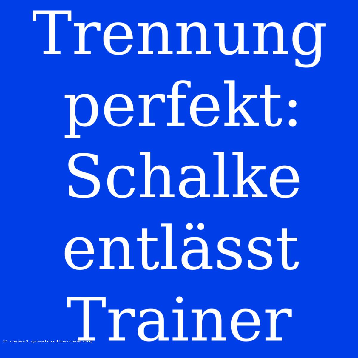 Trennung Perfekt: Schalke Entlässt Trainer