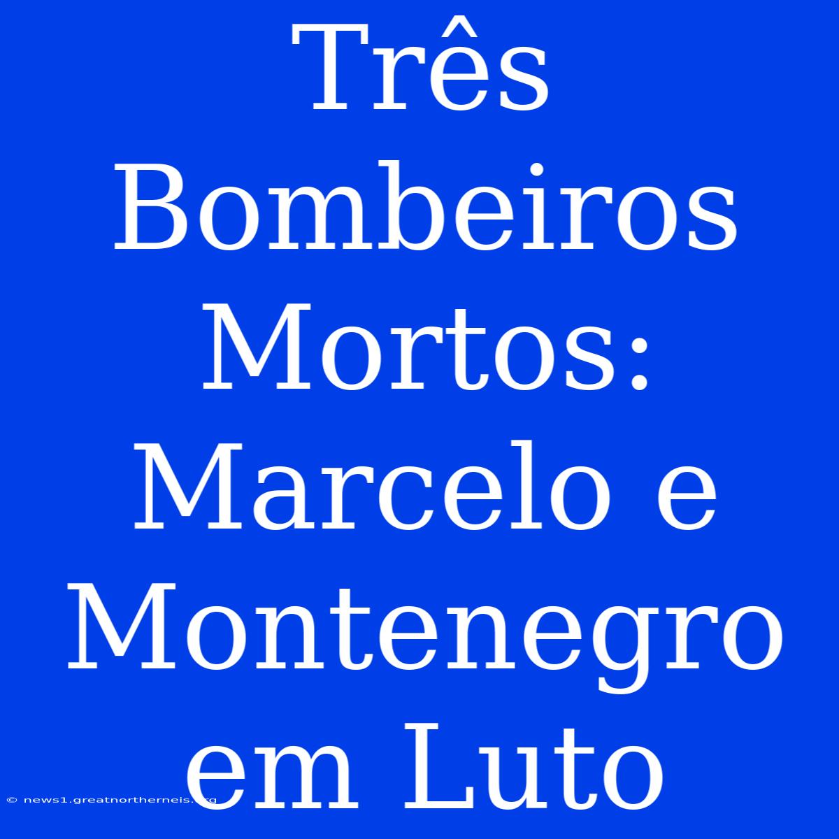 Três Bombeiros Mortos:  Marcelo E Montenegro Em Luto