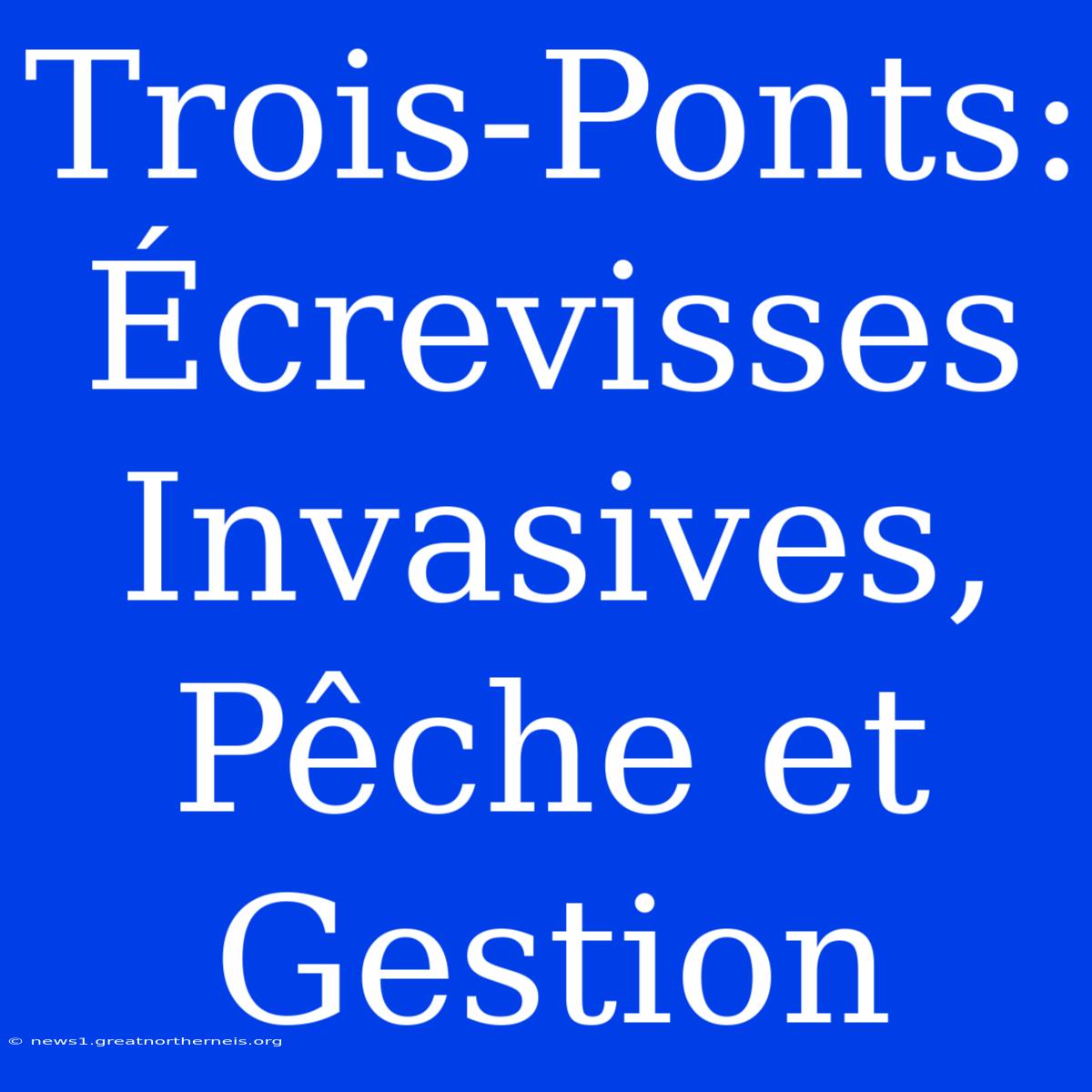 Trois-Ponts: Écrevisses Invasives, Pêche Et Gestion