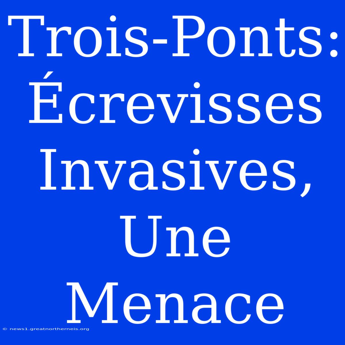 Trois-Ponts: Écrevisses Invasives, Une Menace