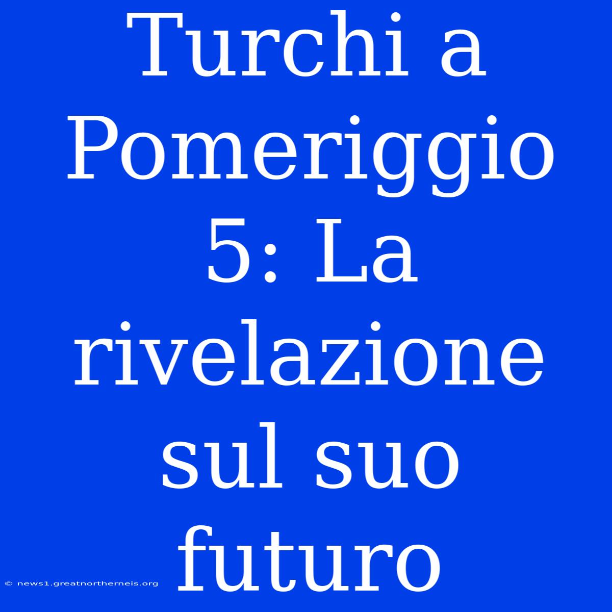 Turchi A Pomeriggio 5: La Rivelazione Sul Suo Futuro