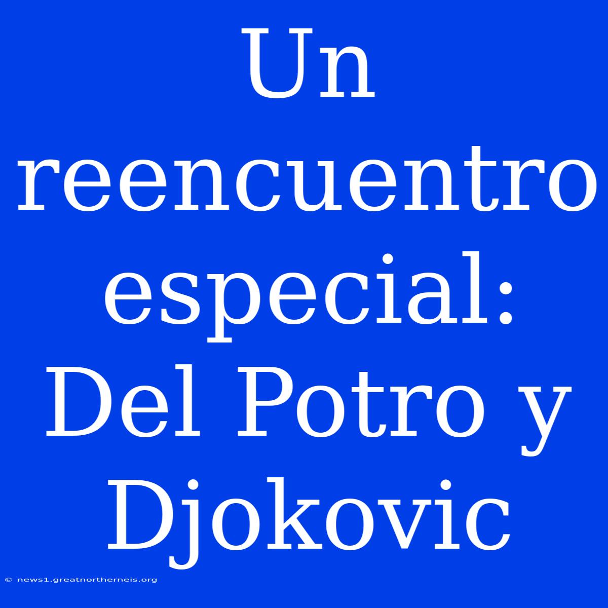 Un Reencuentro Especial: Del Potro Y Djokovic